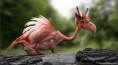 /album/fenykepgaleria/csirke-dino-jpg/