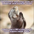 /album/fenykepgaleria/atok-jpg/